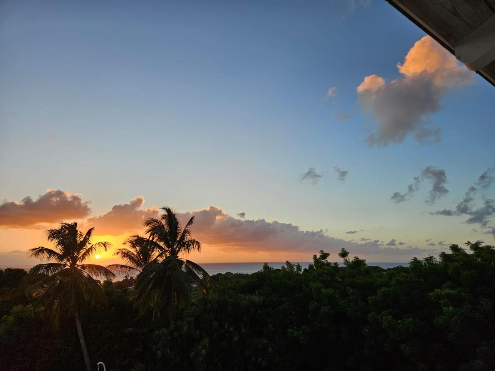 Purple Haze - Infinity Pool Holiday Home Minutes From The Island'S Best Beaches セントジェームス エクステリア 写真